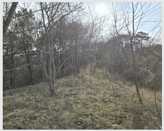  2025Ÿ��20579  �����