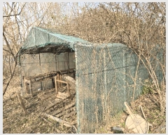  2025Ÿ��20579  �����