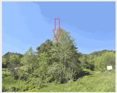  2025Ÿ��20815  �Ӿ߰��