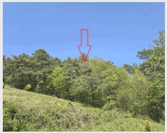  2025Ÿ��20815  �Ӿ߰��