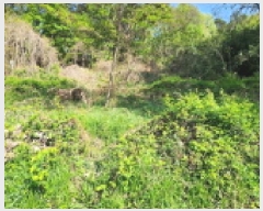  2025Ÿ��20815  �Ӿ߰��