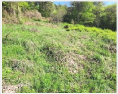  2025Ÿ��20815  �Ӿ߰��