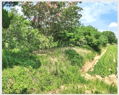  2025Ÿ��21090  ����