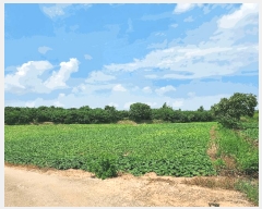  2025Ÿ��21090  ����