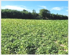  2025Ÿ��21090  ����