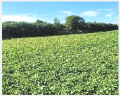  2025Ÿ��21090  ����