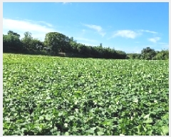  2025Ÿ��21090  ����