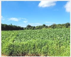  2025Ÿ��21090  ����