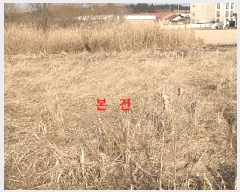  2025Ÿ��305  ����