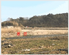  2025Ÿ��305  ����