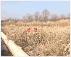  2025Ÿ��305  ����