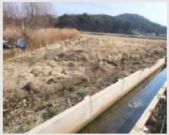  2025Ÿ��305  ����