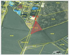  2025Ÿ��305  ����