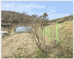  2025Ÿ��308 ���� ����� ��� 1287       ����(��1)���