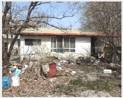  2025Ÿ��313  ���(�󰡽ü�)���