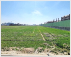  2025Ÿ��320 ���� ����� ���ʵ� 214-18       ����(��)���