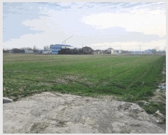  2025Ÿ��320 ���� ����� ���ʵ� 214-18       ����(��)���