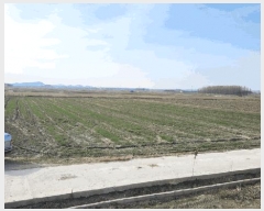  2025Ÿ��320 ���� ����� ���ʵ� 214-18       ����(��)���