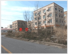  2025Ÿ��353  �������