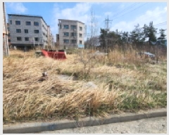  2025Ÿ��353  �������