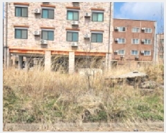  2025Ÿ��353  �������