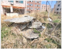  2025Ÿ��353  �������