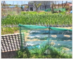  2025Ÿ��378  �������