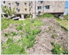  2025Ÿ��378  �������