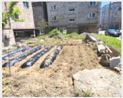  2025Ÿ��378  �������