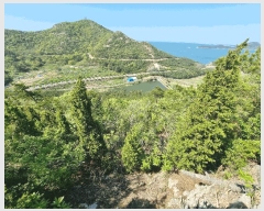  2025Ÿ��382  �Ӿ߰��