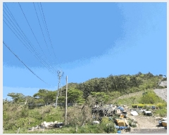  2025Ÿ��382  �Ӿ߰��