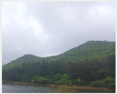  2025Ÿ��382  �Ӿ߰��