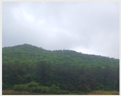  2025Ÿ��382  �Ӿ߰��