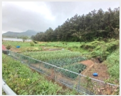  2025Ÿ��382  �Ӿ߰��