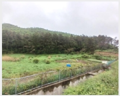  2025Ÿ��382  �Ӿ߰��