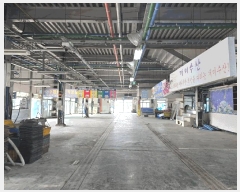  2025Ÿ��416  �ٸ��󰡰��