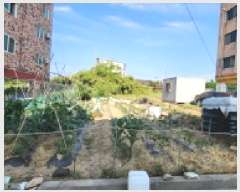  2025Ÿ��428 ���� ����� ���ĵ��� 679-6       ����(����)���