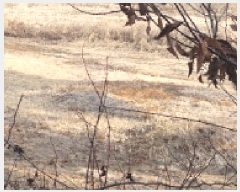  2025Ÿ��20459 ���� �ͻ�� ������ ��� 339-13      ����(�Ӿ�)���