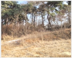  2025Ÿ��20459 ���� �ͻ�� ������ ��� 339-13      ����(�Ӿ�)���