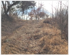  2025Ÿ��20459 ���� �ͻ�� ������ ��� 339-13      ����(�Ӿ�)���