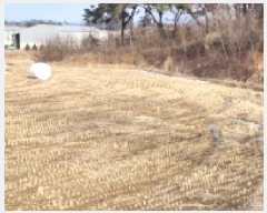  2025Ÿ��20459 ���� �ͻ�� ������ ��� 339-13      ����(�Ӿ�)���