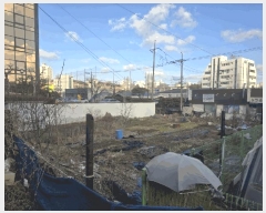  2025Ÿ20557    838-4       ()