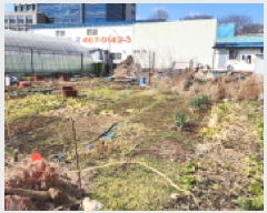  2025Ÿ20557    838-4       ()