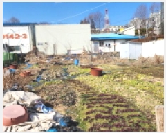  2025Ÿ20557    838-4       ()