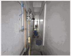  2025Ÿ��20564 ���� ����� ����� 163-3       �ܵ�����,�����ð��