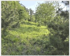  2025Ÿ��20845 ���� ����� ��� 354-23       ����(�Ӿ�)���