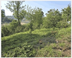  2025Ÿ��20845 ���� ����� ��� 354-23       ����(�Ӿ�)���