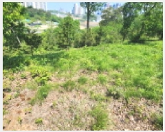  2025Ÿ��20845 ���� ����� ��� 354-23       ����(�Ӿ�)���