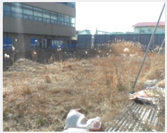  2025Ÿ106  â â  689      ()