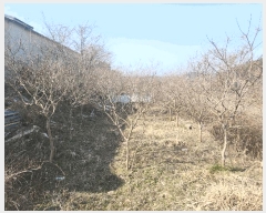  2025Ÿ181  ξȱ  긮 353-140      (1)